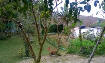 Imagem 3: Lindo sítio em venda nova do imigrante