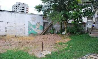 Imagem 5: Casa comercial à venda, Vila Paulicéia, São Paulo - CA0023