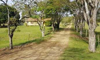 Imagem 7: Fazenda/Sítio/Chácara para venda com 1936000 metros quadrados em E - Quadra - SP