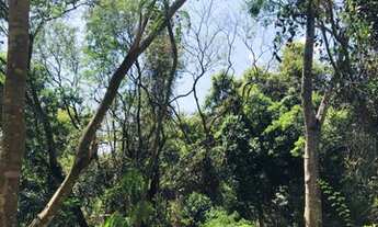 Imagem 2: Maravilhosas Chácaras de 20.000 (2 hectares) em Cordisburgo - R$ 17.950,00