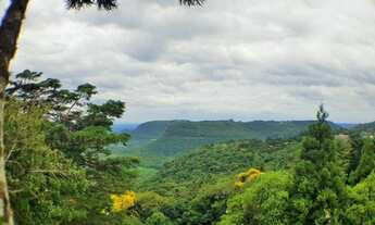 Imagem 4: GRAMADO - Padrão - Centro