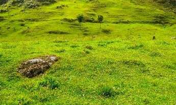 Imagem 2: Fazenda/Sítio/Chácara para venda com 62.500 metros quadrados em Garcia - Angelina - SC