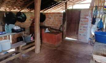 Imagem 5: Chácara 5.000mt/casinha/rancho com fogão caipira/pomar/corrego/energia e poço