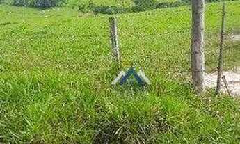 Imagem 5: Fazenda à venda, 102 alqueires por R$ 9.000.000 - Tereza Cristina - Candido de Abreu/PR