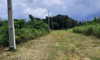 Imagem 5: Lotes 19x59 no km 19 Iranduba