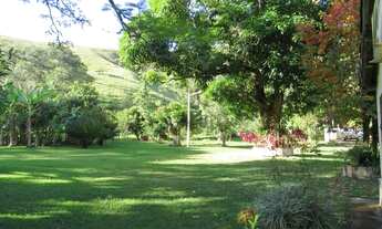 Imagem 3: Sítio com 10 alqueires mineiros e água em abundância