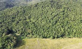 Imagem 7: Amplo sitio na cidade de Ascurra/SC