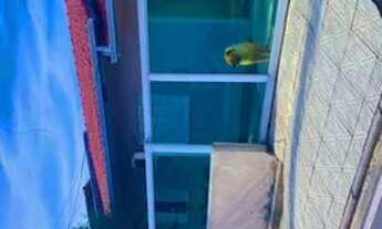 Imagem: Casa bela vista São José