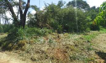 Imagem 3: Vende se um lote