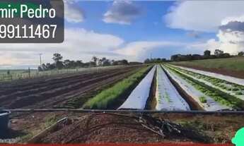 Imagem 3: Vende se chácara