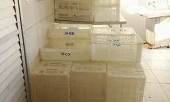 Imagem 6: EMPRESA DE PESCADOS COM 5 CÂMERAS FRIASCentro - Penha - SC