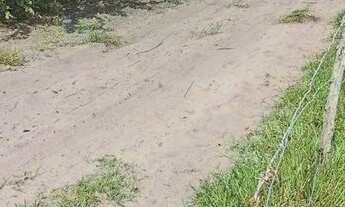 Imagem 2: TERRENO BARREIRNHAS