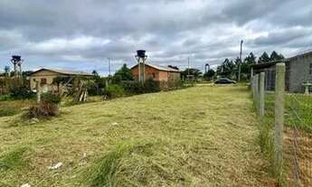 Imagem 2: Terreno plano perto do comércio