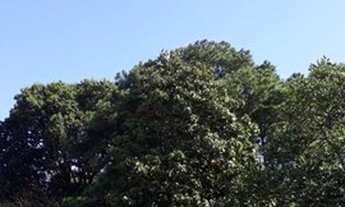 Imagem 3: Sobrado com 3 dormitórios à venda, 140 m² por R$ 950.000,00 - Jardim Popular - São Paulo/S