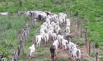 Imagem 5: Fazenda em Diamantina/MG