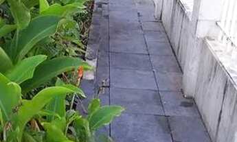 Imagem 5: Casa para alugar!