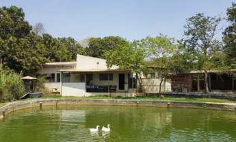 Imagem 2: Linda Chácara de Ponte Alta Gama / Ótima Localização!