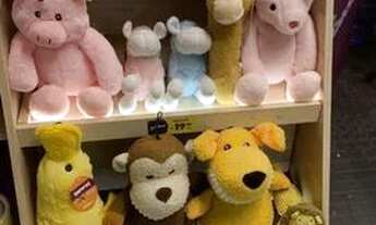 Imagem 2: Repasse quiosque shopping riomar