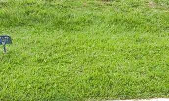 Imagem 6: SENADOR CANEDO - Terreno Padrão - Jardins Bolonha