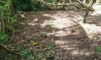 Imagem 2: Vende se casa e 1 terreno jardim aeroporto