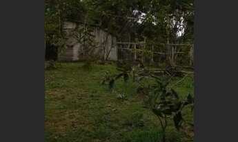 Imagem 7: Sítio ( Presidente Figueiredo ) 33mx700m