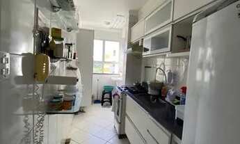 Imagem 5: Palm Ville - Aruana