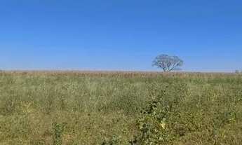 Imagem 4: Lançamento - Chácaras próximas ao Outlet Premium/Alexânia-GO