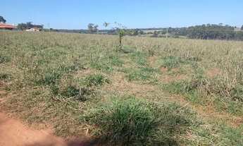 Imagem 3: Vende-se chacara