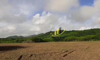 Imagem 2: Oportunidade em UMIRIM