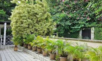 Imagem 6: Casa vista Cristo