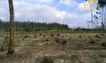 Imagem 2: Belo terreno 1250m², plano, pronto para construir