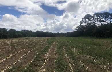 Imagem 4: Terreno Umbara Terreno / lote com venda por R$10.000.000