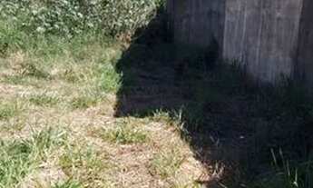 Imagem 6: Lote grande 780m2 em Nova Veneza