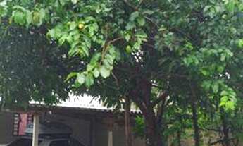 Imagem 7: Aluga-se Casa 2 quartos Sozinha Planaltina-DF