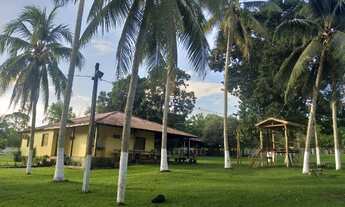 Imagem: Fazenda à venda dentro de Santarém com