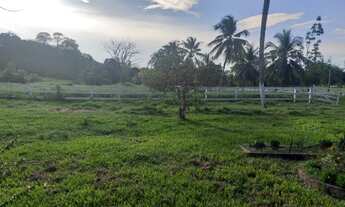 Imagem 5: Fazenda à venda dentro de Santarém com 100 hectares, km 03 Alter do Chão
