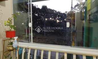 Imagem 6: CANELA - Apartamento Padrão - Vila São Luiz