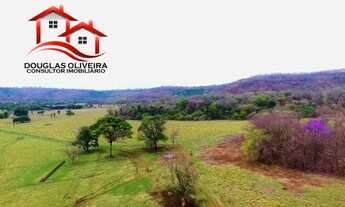 Imagem 2: Fazenda 124,4 Hectares No Triângulo Mineiro