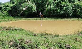 Imagem 2: FAZENDA CAPÃO DA ONÇA !