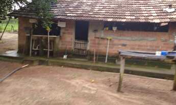 Imagem 2: Vendo fazenda em Santa Rita Tocantins 395 alq