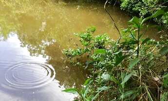 Imagem 3: Vendo excelente sitio Em jaguaripe