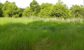 Imagem 3: AREA FRENTE BR 116. 70 MIL MTRS