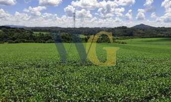 Imagem 5: Terreno para Venda em Campo Largo, Miqueleto