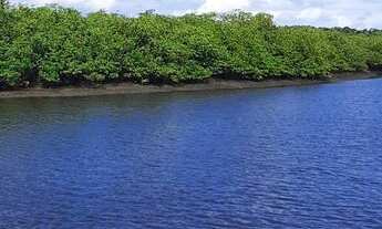 Imagem 4: Vendo fazenda em jaguaripe