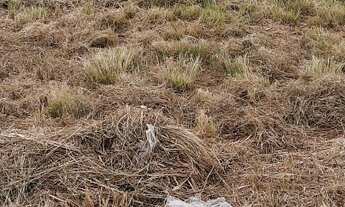 Imagem: Vendo excelente terreno comercial em saj