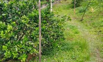 Imagem 2: Vendo excelente sitio Em jaguaripe