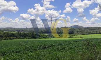 Imagem 3: Terreno para Venda em Campo Largo, Miqueleto