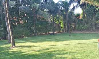 Imagem 3: Chácara ( Ótima Localização