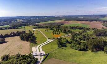 Imagem 3: Terreno à venda, 1000 m² por R$ 140.000,00 - Buriti - Campo do Tenente/PR