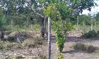 Imagem 2: TERRENO NA LINHA VERDE *MASSARANDUPIÓ